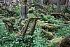 DSC06041.JPG