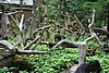 DSC06042.JPG