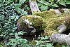 DSC06047.JPG