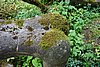 DSC06049.JPG