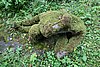 DSC06050.JPG