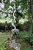 DSC06052.JPG