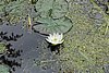 DSC06059.JPG