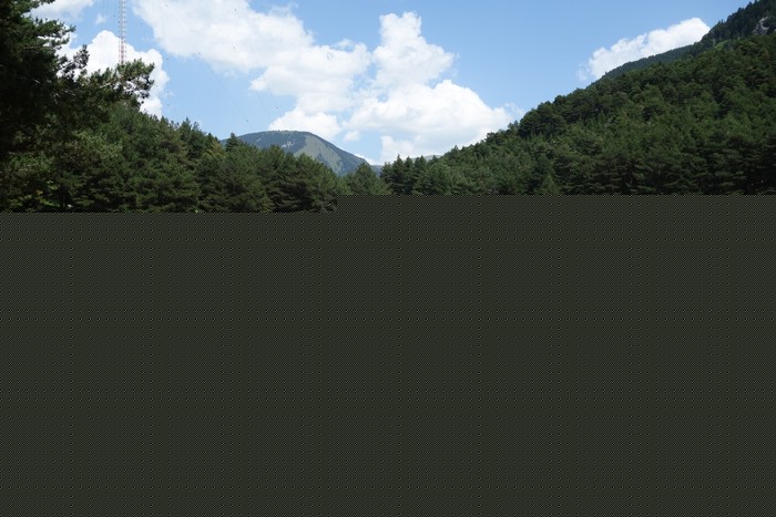 DSC06795.JPG