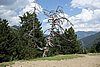 DSC06815.JPG
