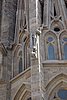 DSC06870.JPG