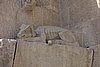 DSC06917.JPG
