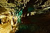 DSC06956.JPG
