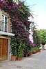 DSC07001.JPG