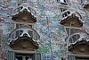 DSC07029.JPG