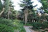 DSC07069.JPG