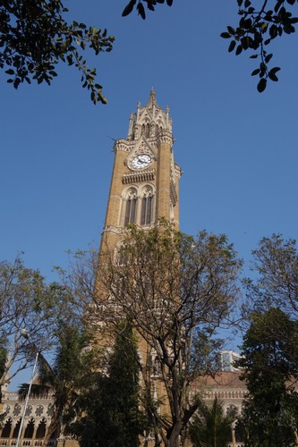 DSC06559.JPG
