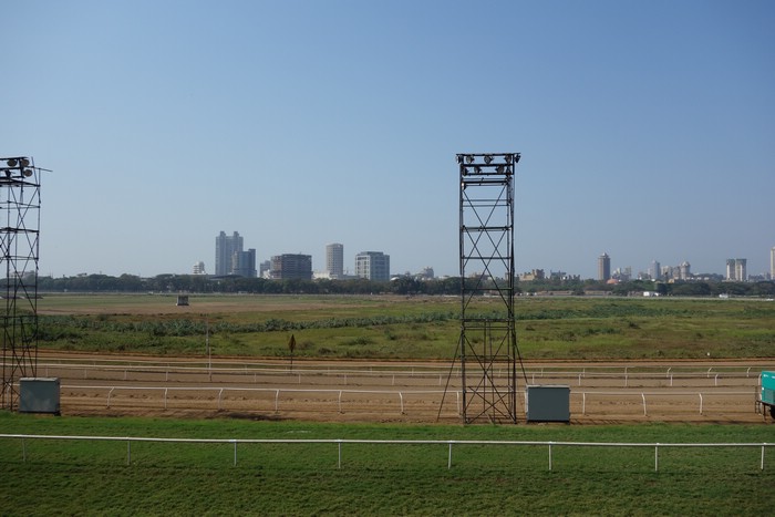 DSC06586.JPG