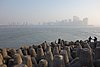 DSC06571.JPG