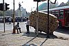 DSC06643.JPG