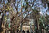 DSC06647.JPG