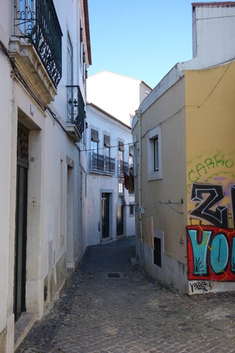 DSC07361.JPG