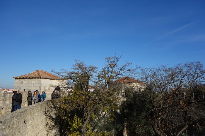 DSC07451.JPG