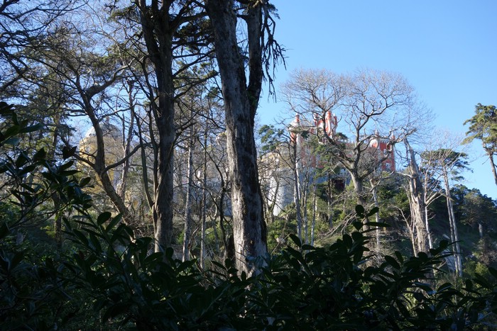 DSC07866.JPG