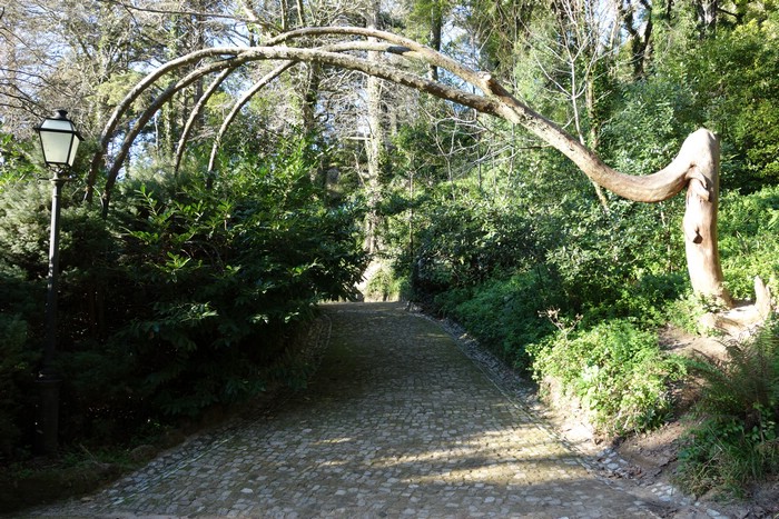 DSC07913.JPG