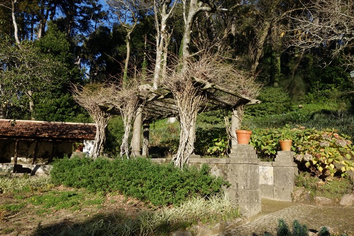 DSC07915.JPG