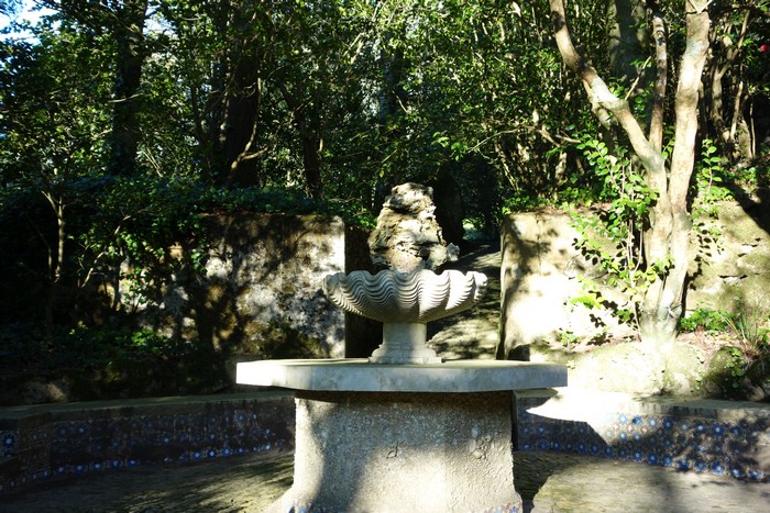 DSC07919.JPG