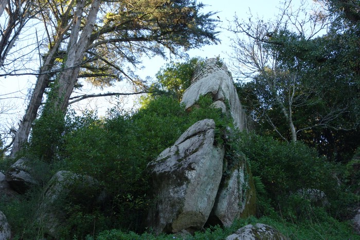 DSC07927.JPG