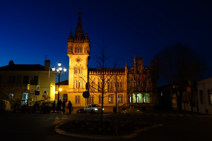 DSC07980.JPG