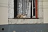 DSC07349.JPG