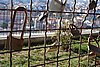 DSC07374.JPG