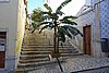 DSC07382.JPG