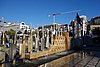 DSC07385.JPG