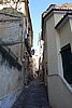 DSC07432.JPG