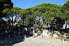 DSC07440.JPG