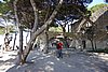 DSC07443.JPG