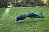 DSC07447.JPG