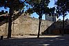 DSC07449.JPG