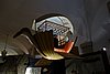 DSC07477.JPG