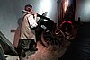 DSC07478.JPG