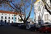 DSC07491.JPG