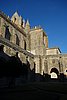 DSC07515.JPG