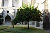 DSC07523.JPG