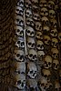 DSC07559.JPG