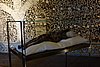DSC07565.JPG