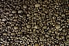 DSC07577.JPG