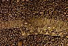 DSC07592.JPG