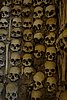 DSC07596.JPG