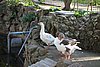 DSC07673.JPG