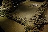 DSC07707.JPG