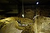DSC07709.JPG